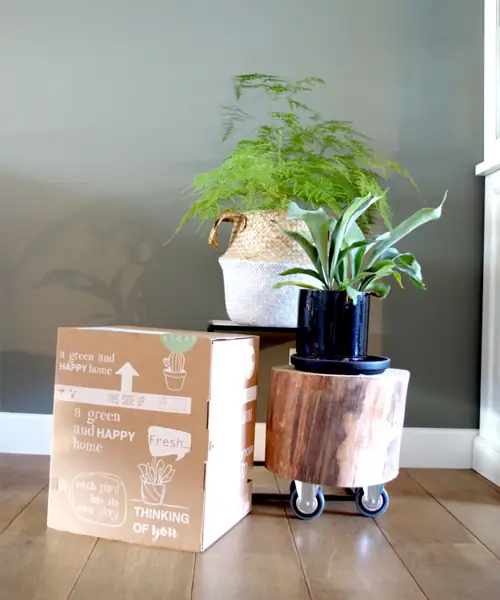 Online planten kopen, planten bestellen