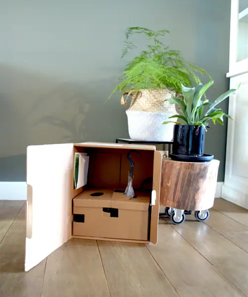 Planten in doos, online planten kopen, online planten bestellen