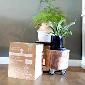 online planten kopen