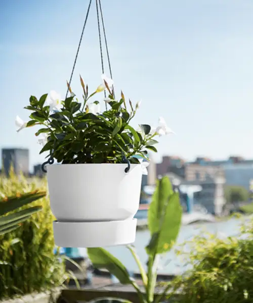 Elho Greenville hangpot, plantenhanger