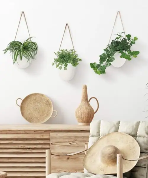 Gadgy plantenhanger, hangpot