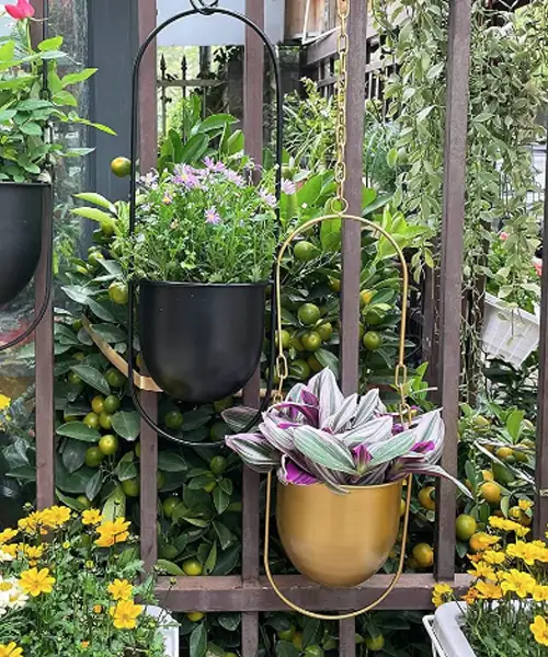 Gouden plantenhanger, hangpot