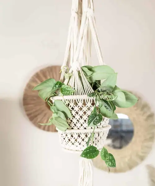 Macrame plantenhanger