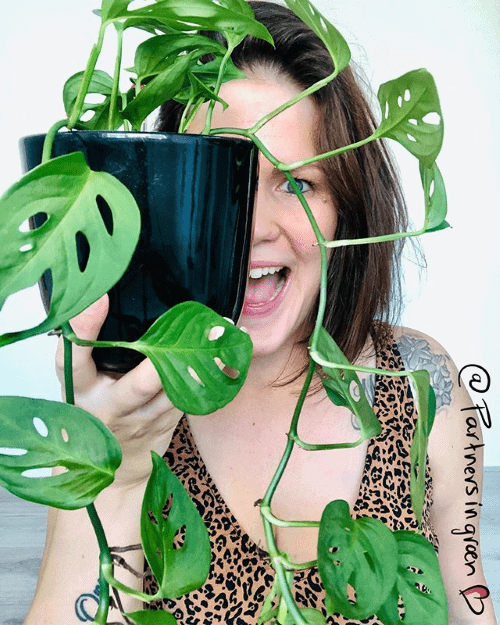 blog interview, partners in groen, plantparents, plantgekkies, crazy plantladies