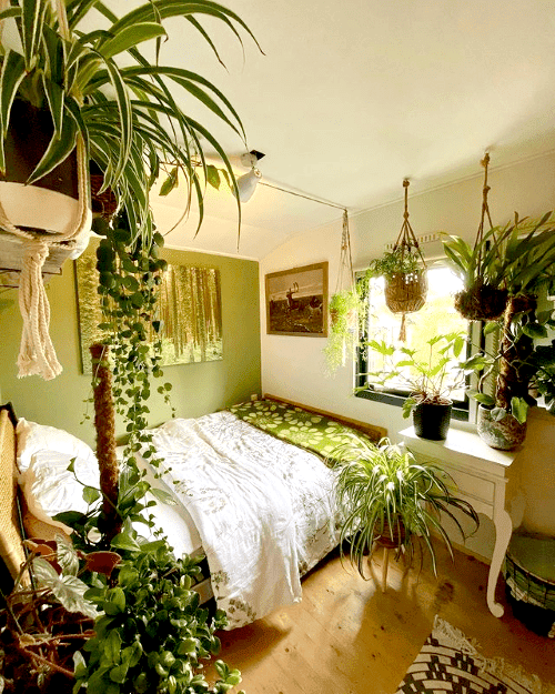 kamerplanten, goede nachtrust, luchtzuiverende planten, hangplanten