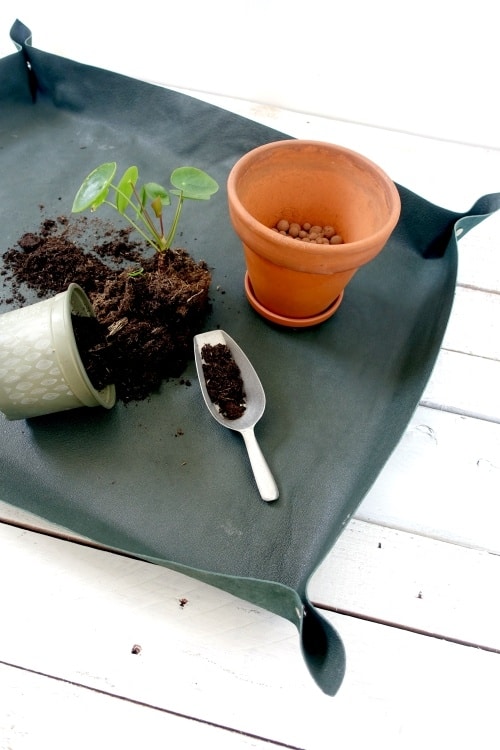 Plant en verpotmat