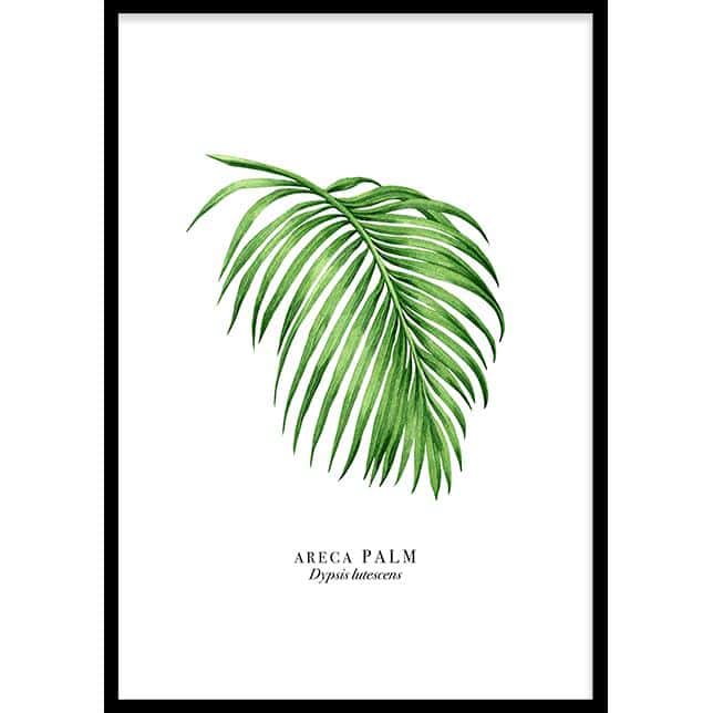 wallified-palm-leaf-50x70cm
