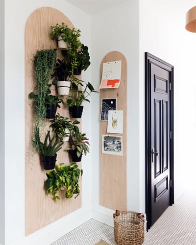 Plantenwand, hangplanten stylen aan de muur