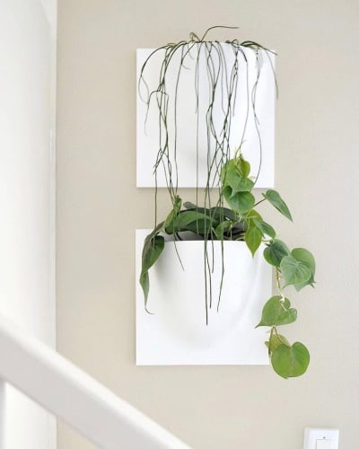 Verti Plants, hangplanten stylen aan de muur, inspiratie