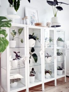Greenhouse Cabinet, kamerplantenkas