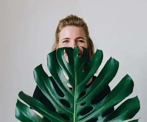 Mevrouw Monstera, kamerplanten, kamerplantenverzorging