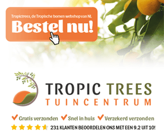tropic trees banner