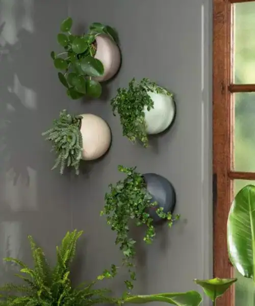 Globee, muurpot, wandpotten
