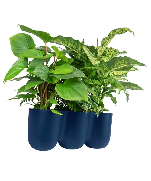 Quvio trio, wand bloempot