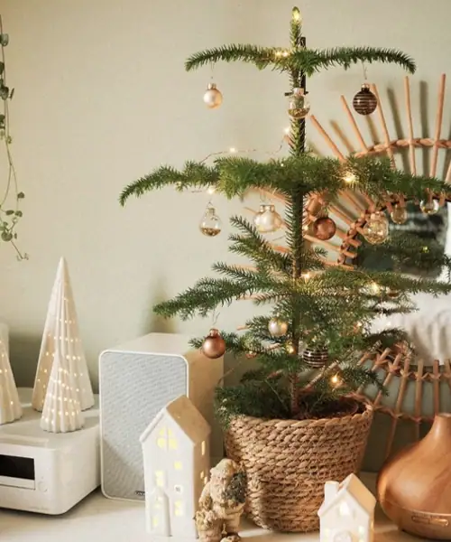 Kamerden met kerst, kerstboom alternatief