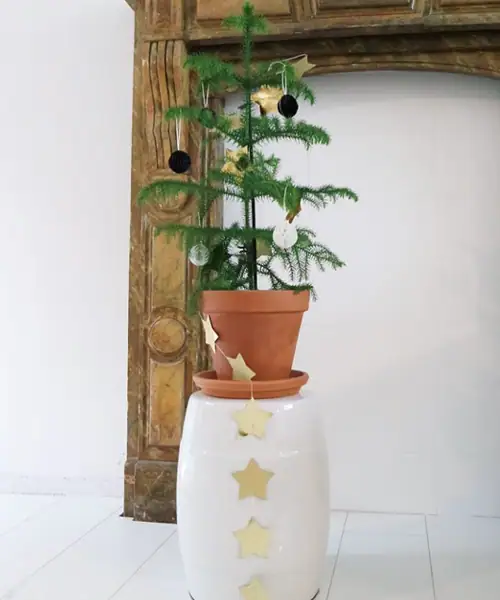 Kamerden als kerstboom