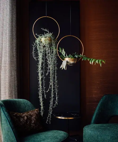 Hangplanten in hanger