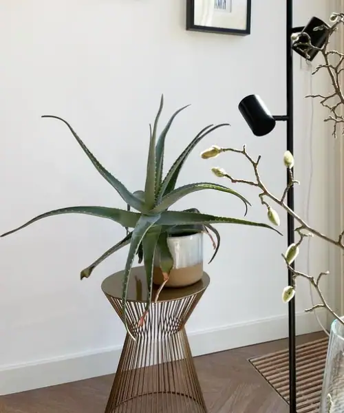 Woood Suus bijzettafel, goud, plantentafel binnen, plantentafel rond, plantentafel goud, plantnstandaard