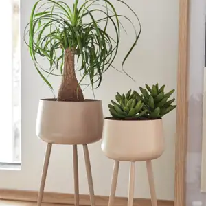 featured image plantentafel