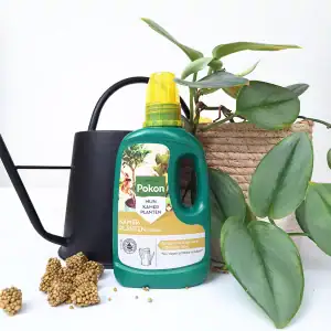 Pokon kamerplantenvoeding