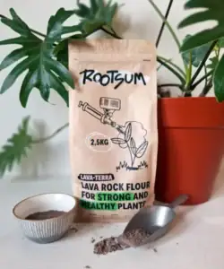 Rootsum lavameel, Lava-terra