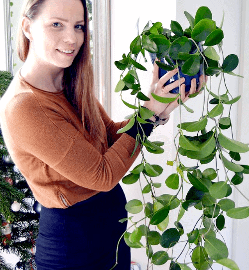Crazy Plantlady Tessa Crazy Plantlady Tessa