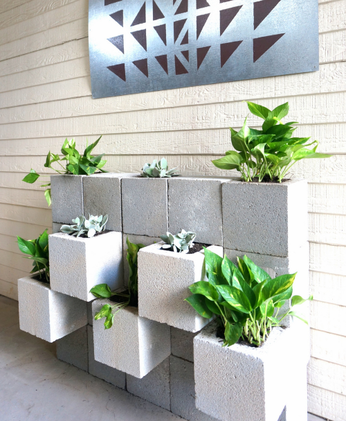 plantjes in betonblokken, plantenhoek, plantcorner