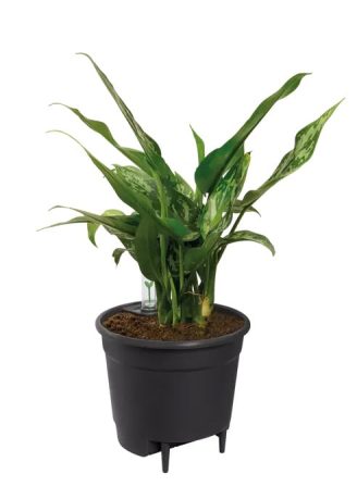 Elho self watering insert, zelfwaterende bloempotten, slimme plantenpot, waterreservoir, automatisch bewateringssysteem